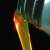 Fuels biofiuels icon