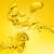 Vegetable oils icon